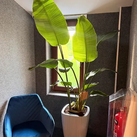 Apartment Desimo